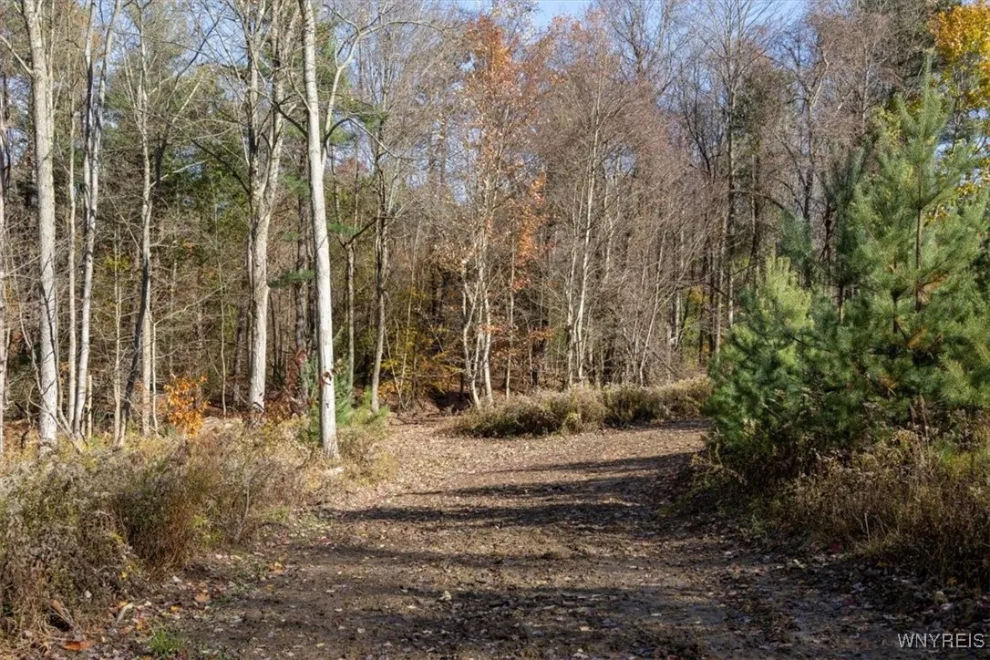 9881+9937 Larkin Road, Eden, New York 14057, Eden, New York 14057, ,Land,For Sale,9881+9937 Larkin Road, Eden, New York 14057,0,B1649111