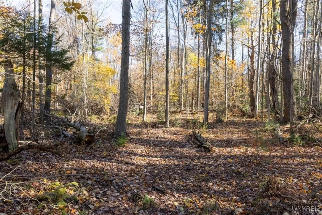 9881+9937 Larkin Road, Eden, New York 14057, Eden, New York 14057, ,Land,For Sale,9881+9937 Larkin Road, Eden, New York 14057,0,B1649111