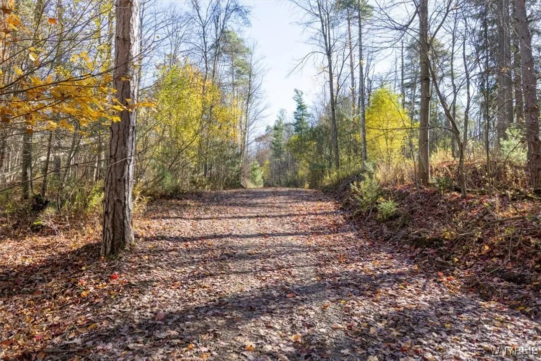 9881+9937 Larkin Road, Eden, New York 14057, Eden, New York 14057, ,Land,For Sale,9881+9937 Larkin Road, Eden, New York 14057,0,B1649111