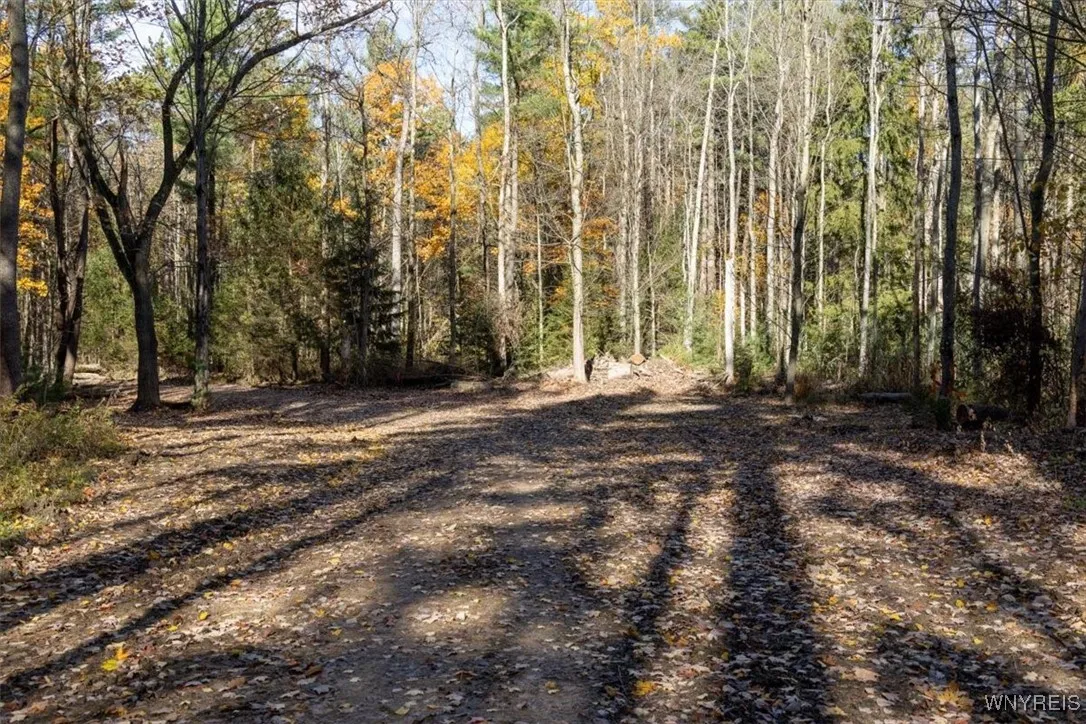 9881+9937 Larkin Road, Eden, New York 14057, Eden, New York 14057, ,Land,For Sale,9881+9937 Larkin Road, Eden, New York 14057,0,B1649111