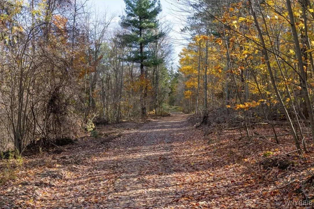 9881+9937 Larkin Road, Eden, New York 14057, Eden, New York 14057, ,Land,For Sale,9881+9937 Larkin Road, Eden, New York 14057,0,B1649111