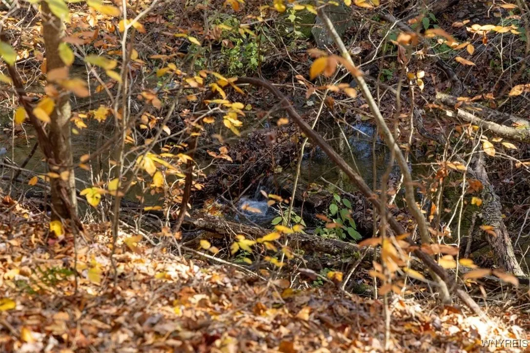 9881+9937 Larkin Road, Eden, New York 14057, Eden, New York 14057, ,Land,For Sale,9881+9937 Larkin Road, Eden, New York 14057,0,B1649111