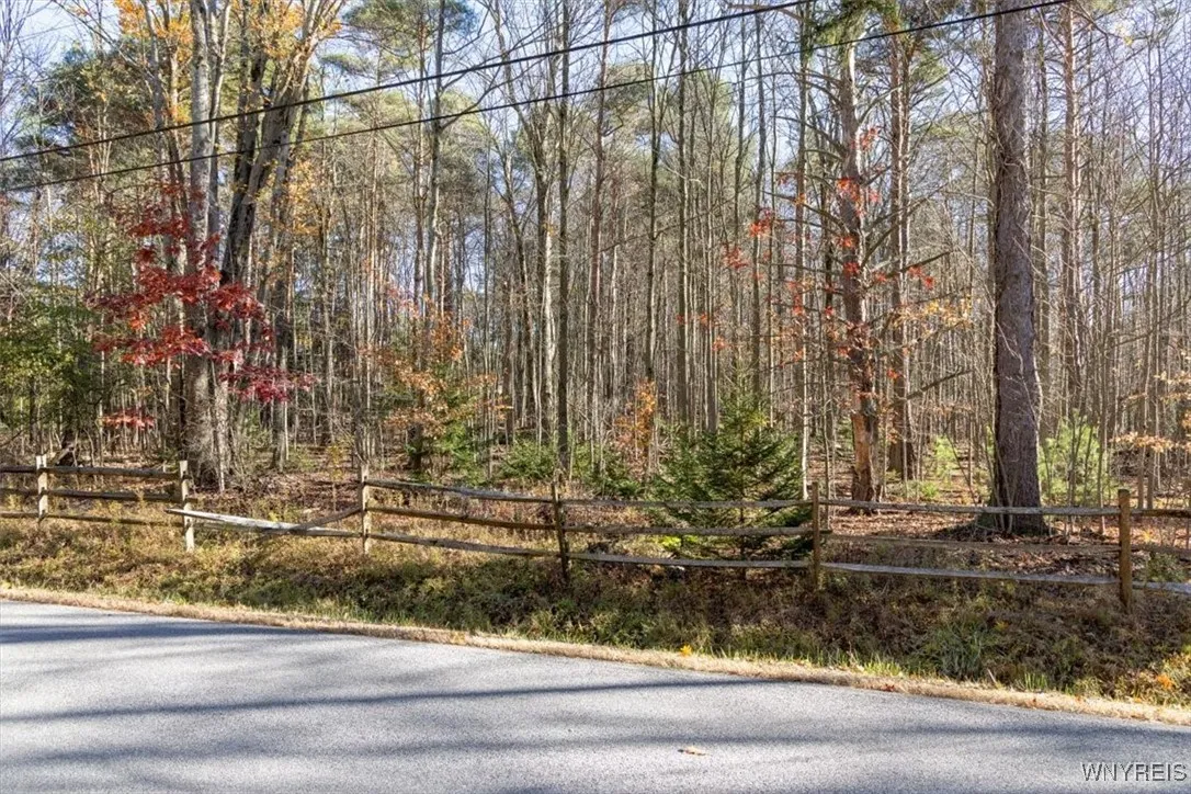 9881+9937 Larkin Road, Eden, New York 14057, Eden, New York 14057, ,Land,For Sale,9881+9937 Larkin Road, Eden, New York 14057,0,B1649111