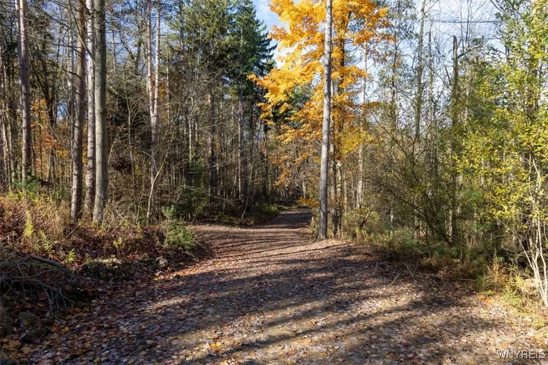 9881+9937 Larkin Road, Eden, New York 14057, Eden, New York 14057, ,Land,For Sale,9881+9937 Larkin Road, Eden, New York 14057,0,B1649111