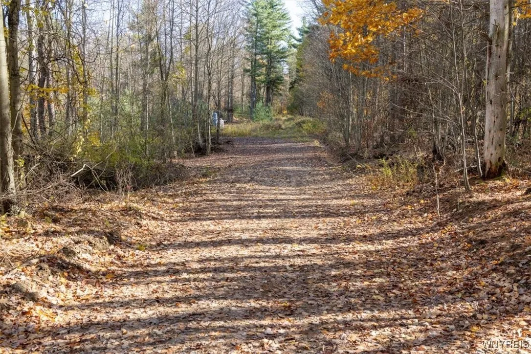 9881+9937 Larkin Road, Eden, New York 14057, Eden, New York 14057, ,Land,For Sale,9881+9937 Larkin Road, Eden, New York 14057,0,B1649111