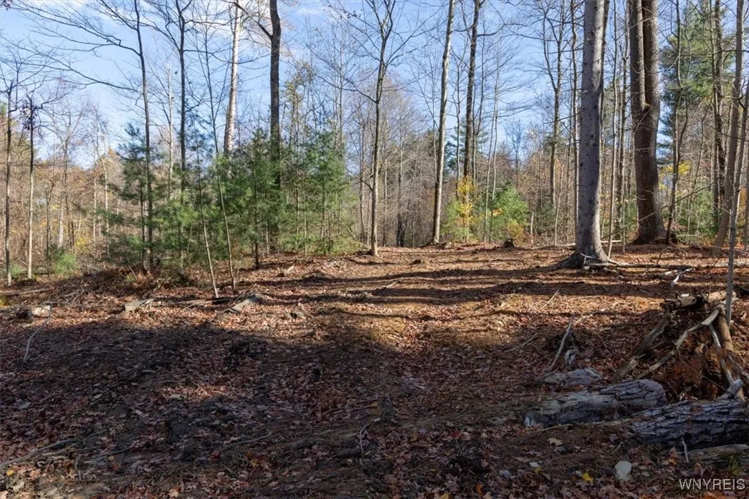 9881+9937 Larkin Road, Eden, New York 14057, Eden, New York 14057, ,Land,For Sale,9881+9937 Larkin Road, Eden, New York 14057,0,B1649111