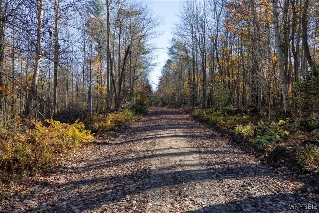 9881+9937 Larkin Road, Eden, New York 14057, Eden, New York 14057, ,Land,For Sale,9881+9937 Larkin Road, Eden, New York 14057,0,B1649111