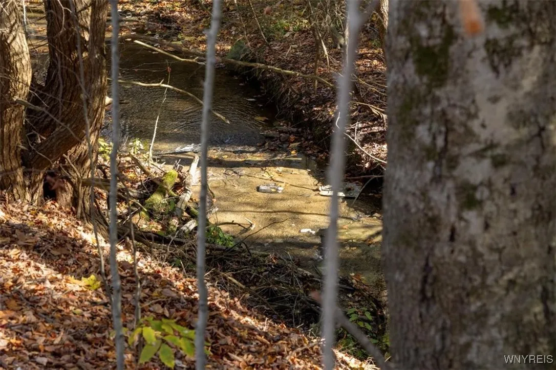 9881+9937 Larkin Road, Eden, New York 14057, Eden, New York 14057, ,Land,For Sale,9881+9937 Larkin Road, Eden, New York 14057,0,B1649111