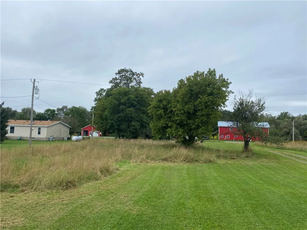 Views from the front yard