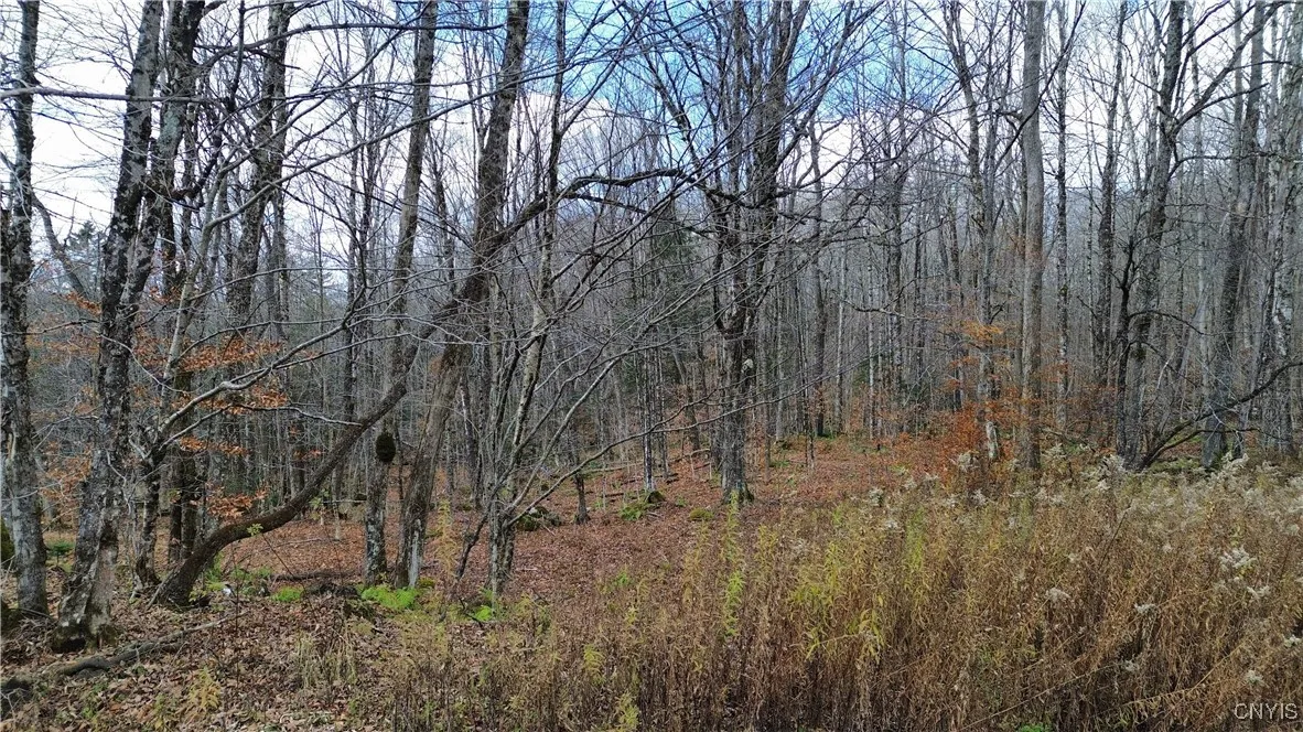 Lot 3 Jerseyfield Road, Salisbury, New York 13365, Salisbury, New York 13365, 1 Bedroom Bedrooms, ,Land,For Sale,Lot 3 Jerseyfield Road, Salisbury, New York 13365,0,S1649373