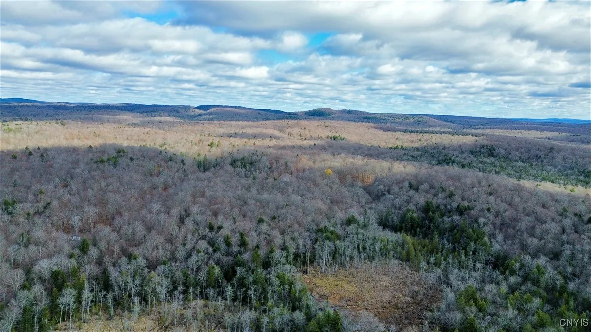 Lot 3 Jerseyfield Road, Salisbury, New York 13365, Salisbury, New York 13365, 1 Bedroom Bedrooms, ,Land,For Sale,Lot 3 Jerseyfield Road, Salisbury, New York 13365,0,S1649373