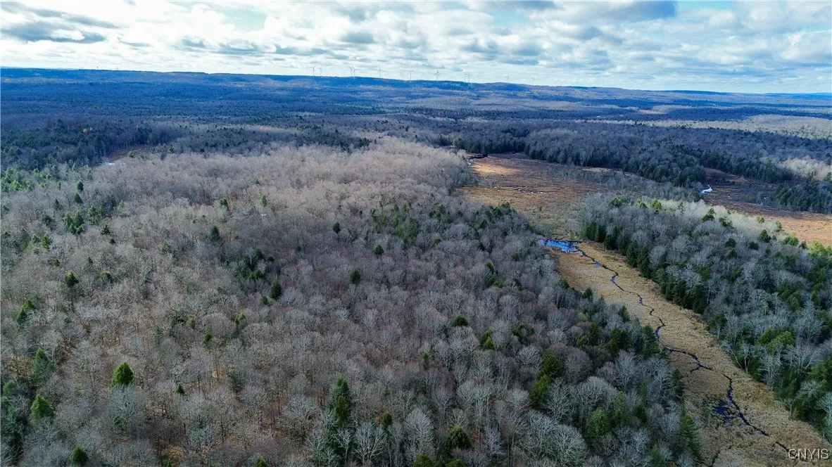 Lot 3 Jerseyfield Road, Salisbury, New York 13365, Salisbury, New York 13365, 1 Bedroom Bedrooms, ,Land,For Sale,Lot 3 Jerseyfield Road, Salisbury, New York 13365,0,S1649373