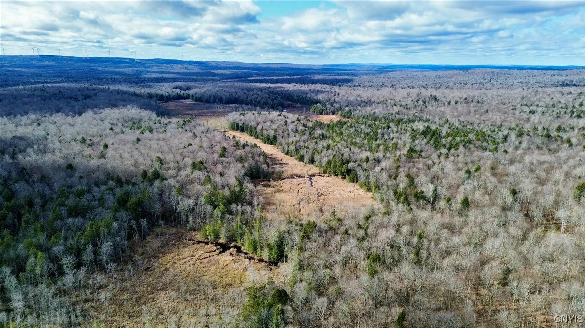 Lot 3 Jerseyfield Road, Salisbury, New York 13365, Salisbury, New York 13365, 1 Bedroom Bedrooms, ,Land,For Sale,Lot 3 Jerseyfield Road, Salisbury, New York 13365,0,S1649373