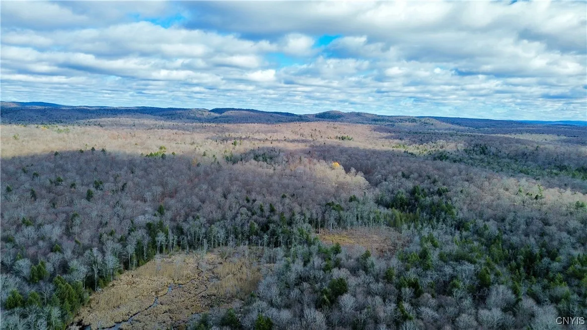 Lot 3 Jerseyfield Road, Salisbury, New York 13365, Salisbury, New York 13365, 1 Bedroom Bedrooms, ,Land,For Sale,Lot 3 Jerseyfield Road, Salisbury, New York 13365,0,S1649373