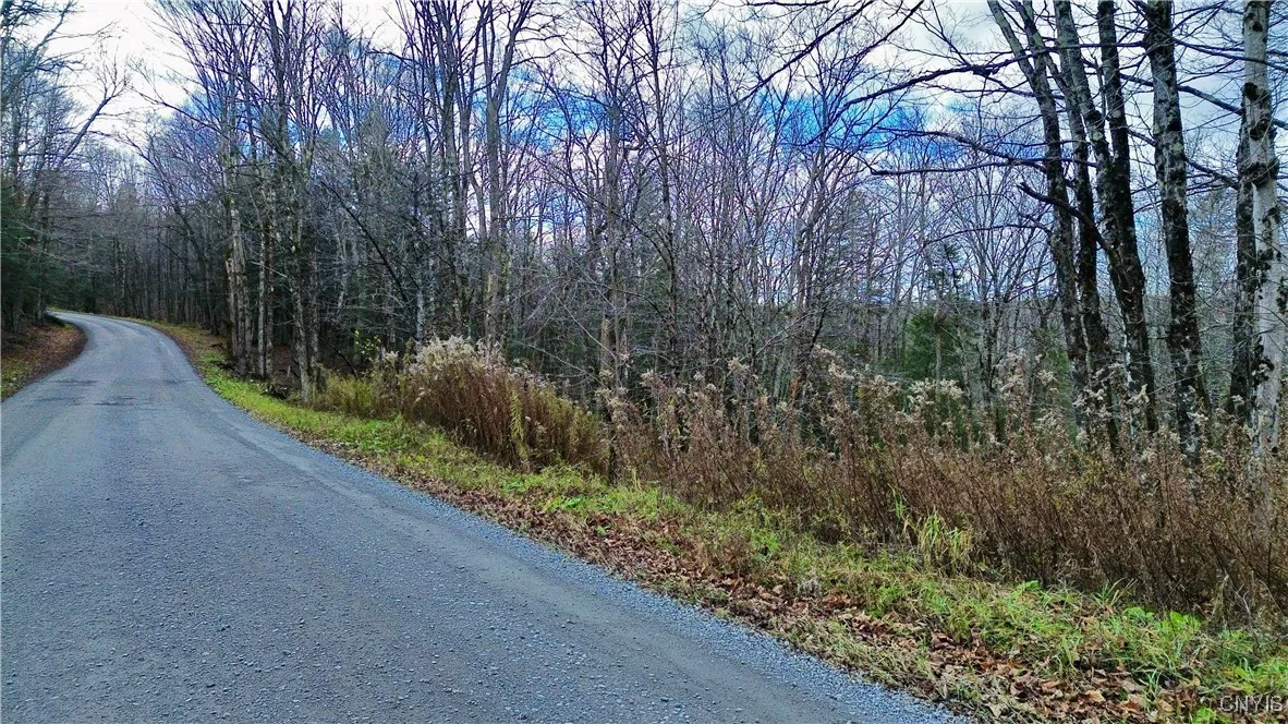 Lot 3 Jerseyfield Road, Salisbury, New York 13365, Salisbury, New York 13365, 1 Bedroom Bedrooms, ,Land,For Sale,Lot 3 Jerseyfield Road, Salisbury, New York 13365,0,S1649373