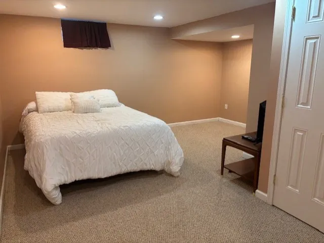 2nd Finished Room in Lower Level