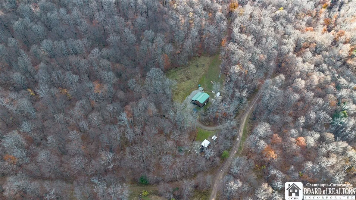 California Hollow Road, Bolivar, New York 14715, Bolivar, New York 14715, 2 Bedrooms Bedrooms, 6 Rooms Rooms,1 BathroomBathrooms,Land,For Sale,California Hollow Road, Bolivar, New York 14715,0,R1649343