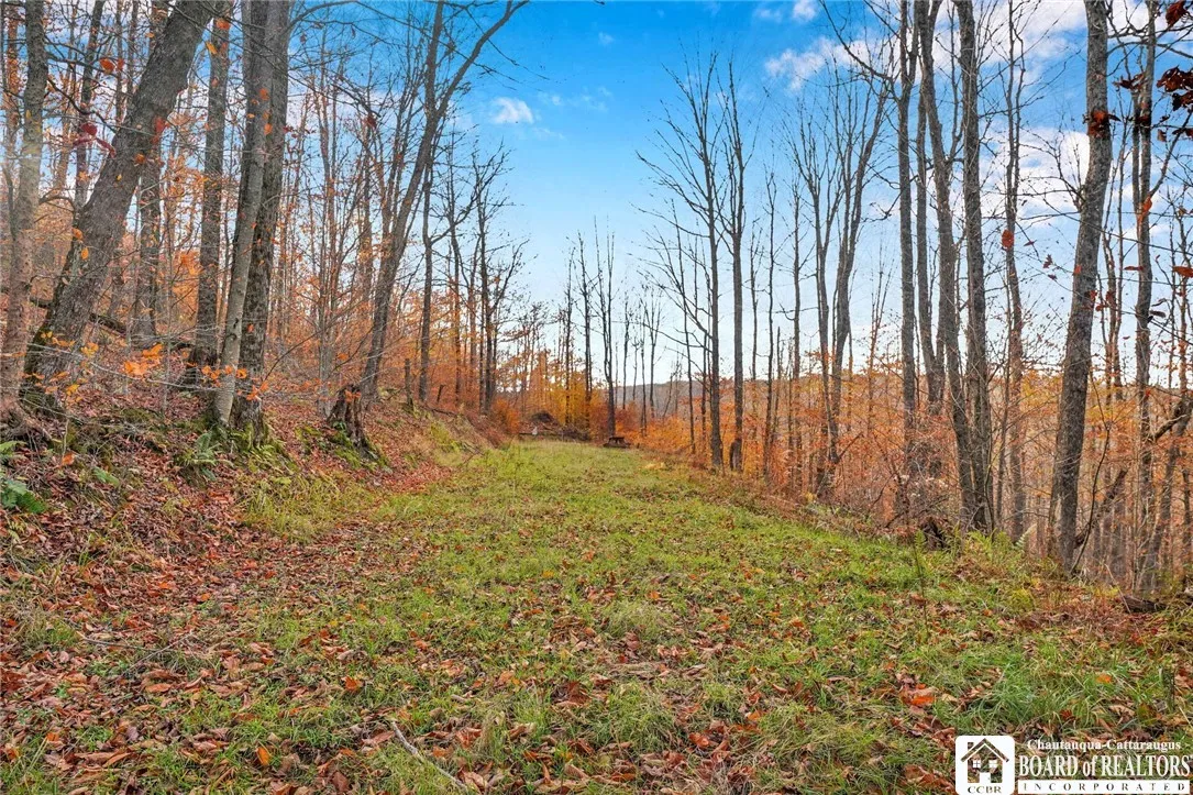 California Hollow Road, Bolivar, New York 14715, Bolivar, New York 14715, 2 Bedrooms Bedrooms, 6 Rooms Rooms,1 BathroomBathrooms,Land,For Sale,California Hollow Road, Bolivar, New York 14715,0,R1649343