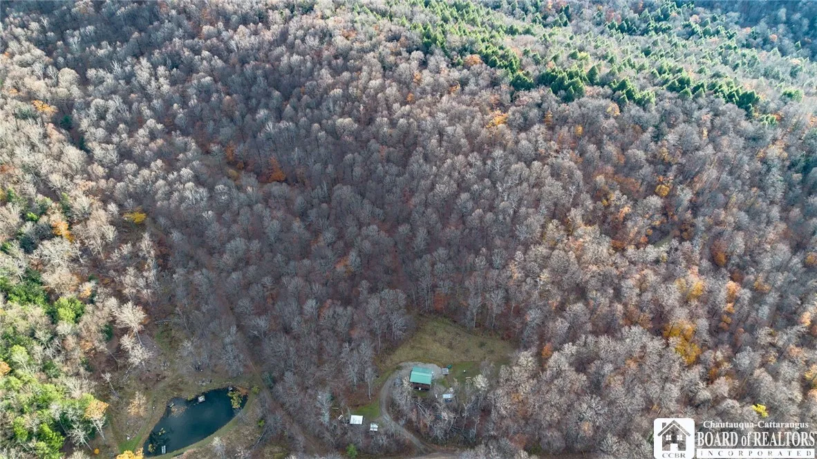 California Hollow Road, Bolivar, New York 14715, Bolivar, New York 14715, 2 Bedrooms Bedrooms, 6 Rooms Rooms,1 BathroomBathrooms,Land,For Sale,California Hollow Road, Bolivar, New York 14715,0,R1649343