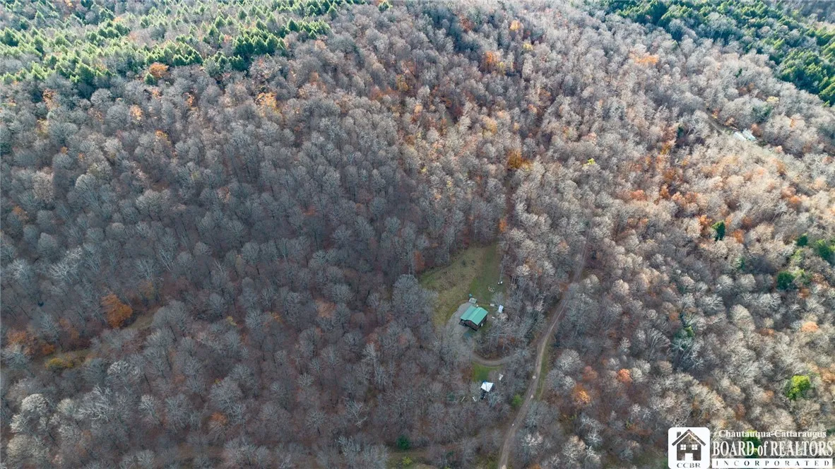 California Hollow Road, Bolivar, New York 14715, Bolivar, New York 14715, 2 Bedrooms Bedrooms, 6 Rooms Rooms,1 BathroomBathrooms,Land,For Sale,California Hollow Road, Bolivar, New York 14715,0,R1649343