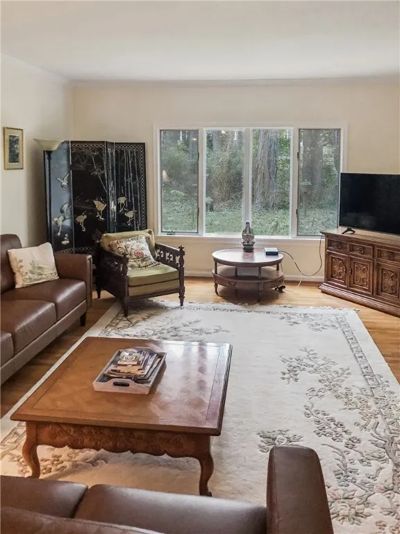 Large Windows for Natural Lights