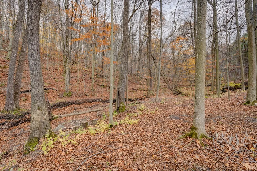 7047 Lawyer Road R 162, Naples, New York 14512, Naples, New York 14512, 3 Bedrooms Bedrooms, 6 Rooms Rooms,2 BathroomsBathrooms,Residential,For Sale,7047 Lawyer Road R 162, Naples, New York 14512,0,R1648922