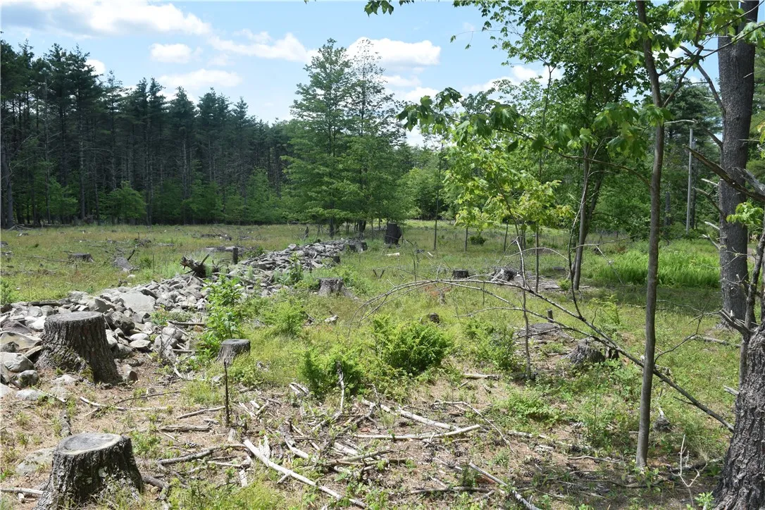 Tbd Anthony Road, Cairo, New York 12413, Cairo, New York 12413, ,Land,For Sale,Tbd Anthony Road, Cairo, New York 12413,0,R1648407