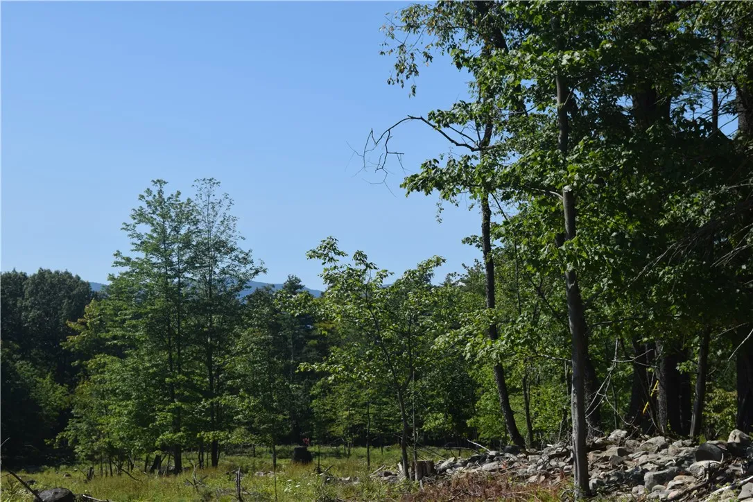 Tbd Anthony Road, Cairo, New York 12413, Cairo, New York 12413, ,Land,For Sale,Tbd Anthony Road, Cairo, New York 12413,0,R1648407