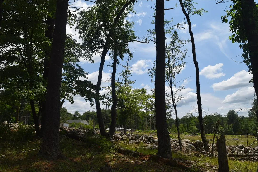 Tbd Anthony Road, Cairo, New York 12413, Cairo, New York 12413, ,Land,For Sale,Tbd Anthony Road, Cairo, New York 12413,0,R1648407