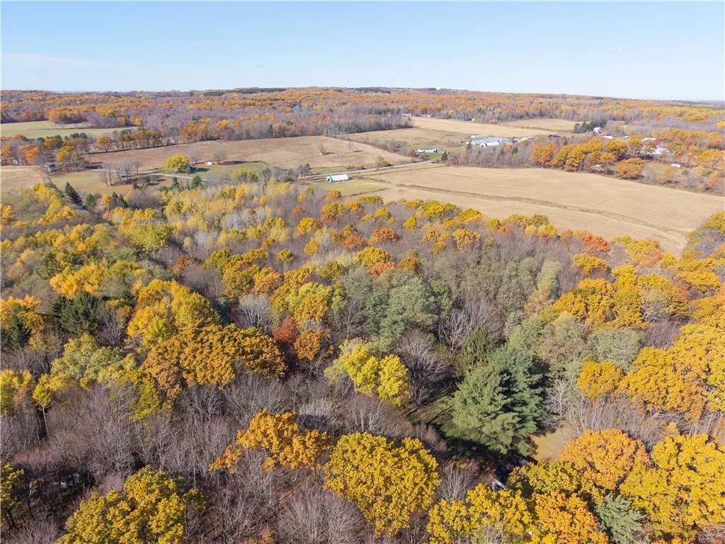 8387 Carney Hollow Road, Springwater, New York 145, Springwater, New York 14572, 1 Bedroom Bedrooms, ,1 BathroomBathrooms,Land,For Sale,8387 Carney Hollow Road, Springwater, New York 145,0,R1648734