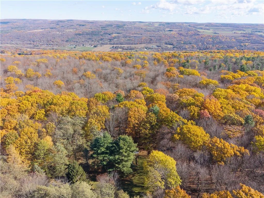 8387 Carney Hollow Road, Springwater, New York 145, Springwater, New York 14572, 1 Bedroom Bedrooms, ,1 BathroomBathrooms,Land,For Sale,8387 Carney Hollow Road, Springwater, New York 145,0,R1648734