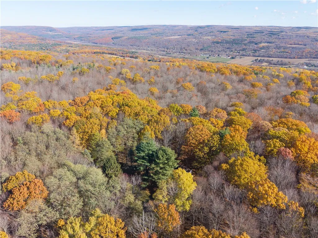 8387 Carney Hollow Road, Springwater, New York 145, Springwater, New York 14572, 1 Bedroom Bedrooms, ,1 BathroomBathrooms,Land,For Sale,8387 Carney Hollow Road, Springwater, New York 145,0,R1648734