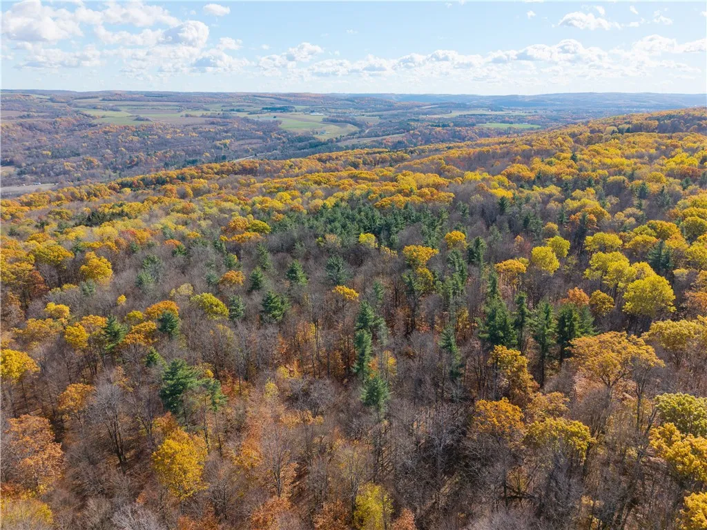 8387 Carney Hollow Road, Springwater, New York 145, Springwater, New York 14572, 1 Bedroom Bedrooms, ,1 BathroomBathrooms,Land,For Sale,8387 Carney Hollow Road, Springwater, New York 145,0,R1648734