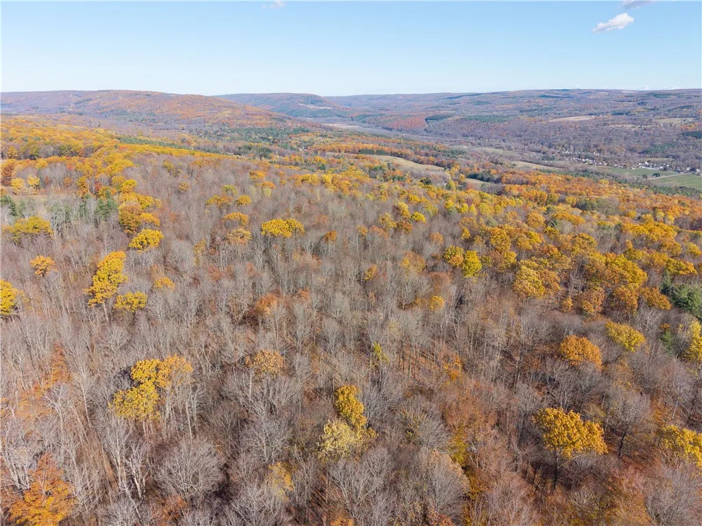 8387 Carney Hollow Road, Springwater, New York 145, Springwater, New York 14572, 1 Bedroom Bedrooms, ,1 BathroomBathrooms,Land,For Sale,8387 Carney Hollow Road, Springwater, New York 145,0,R1648734