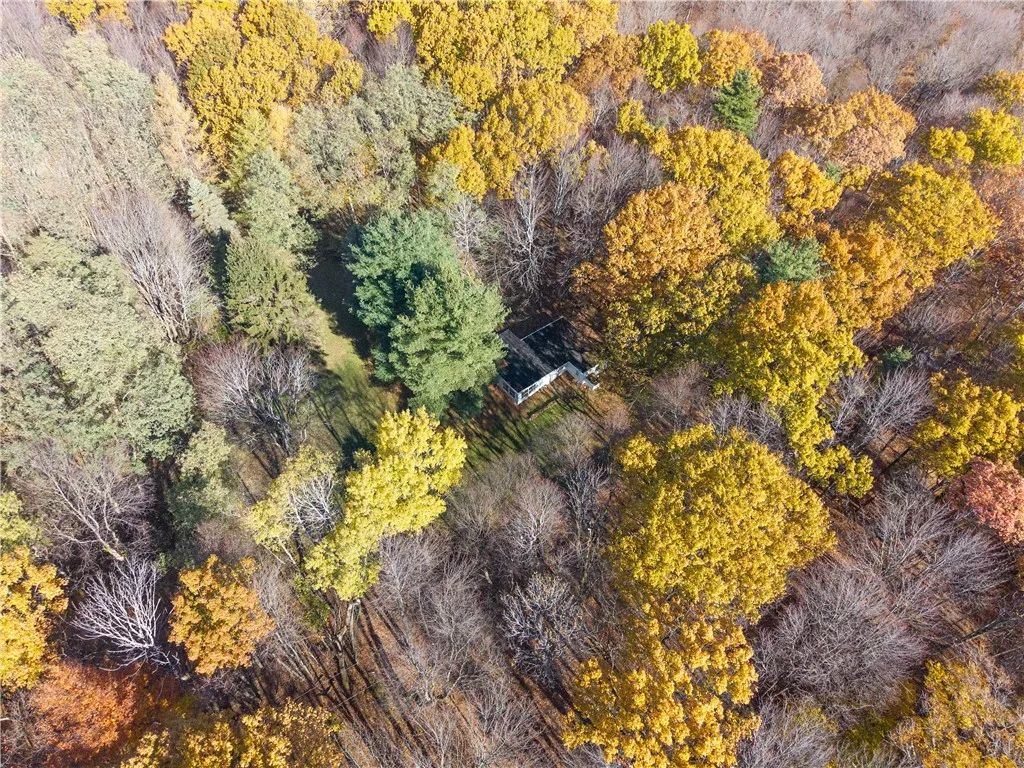 8387 Carney Hollow Road, Springwater, New York 145, Springwater, New York 14572, 1 Bedroom Bedrooms, ,1 BathroomBathrooms,Land,For Sale,8387 Carney Hollow Road, Springwater, New York 145,0,R1648734