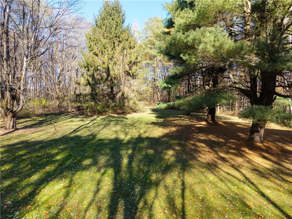 8387 Carney Hollow Road, Springwater, New York 145, Springwater, New York 14572, 1 Bedroom Bedrooms, ,1 BathroomBathrooms,Land,For Sale,8387 Carney Hollow Road, Springwater, New York 145,0,R1648734