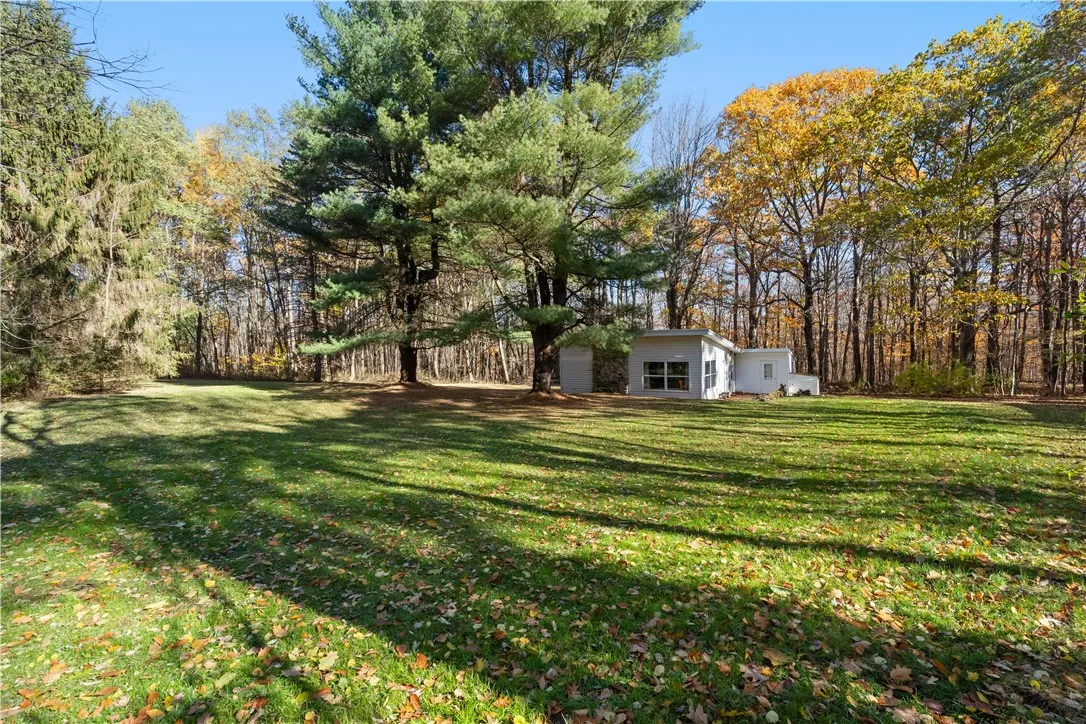 8387 Carney Hollow Road, Springwater, New York 145, Springwater, New York 14572, 1 Bedroom Bedrooms, ,1 BathroomBathrooms,Land,For Sale,8387 Carney Hollow Road, Springwater, New York 145,0,R1648734