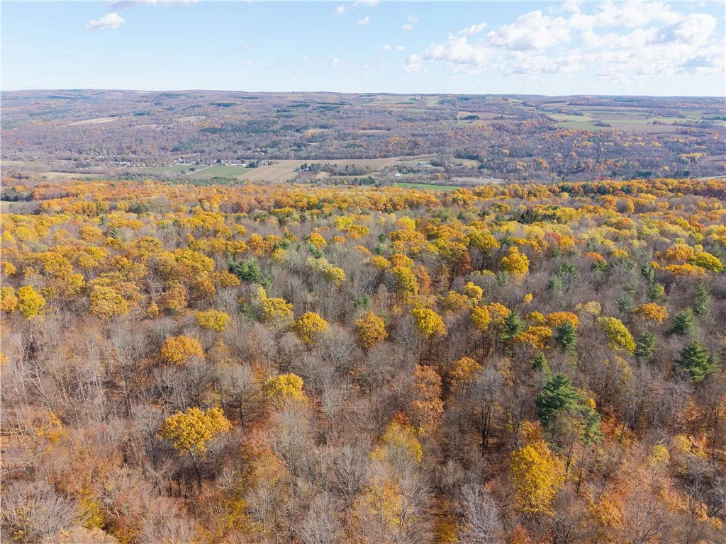 8387 Carney Hollow Road, Springwater, New York 145, Springwater, New York 14572, 1 Bedroom Bedrooms, ,1 BathroomBathrooms,Land,For Sale,8387 Carney Hollow Road, Springwater, New York 145,0,R1648734