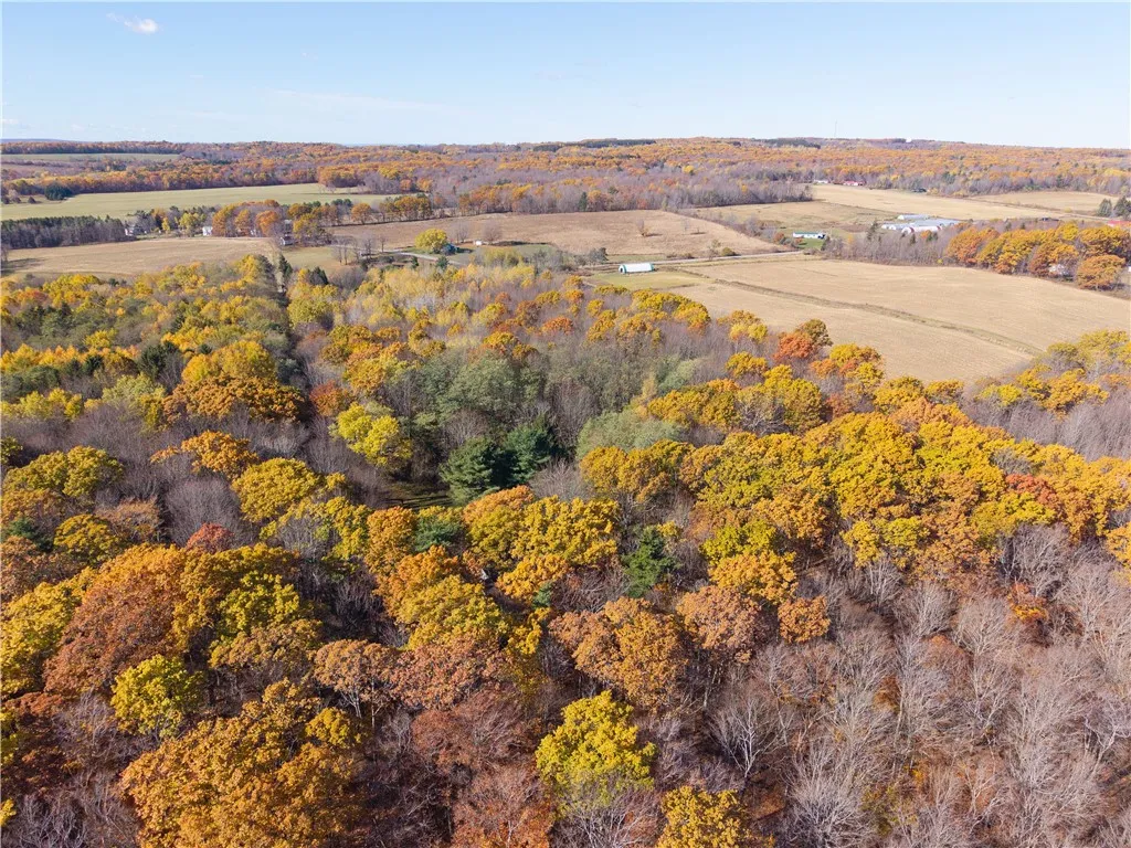 8387 Carney Hollow Road, Springwater, New York 145, Springwater, New York 14572, 1 Bedroom Bedrooms, ,1 BathroomBathrooms,Land,For Sale,8387 Carney Hollow Road, Springwater, New York 145,0,R1648734