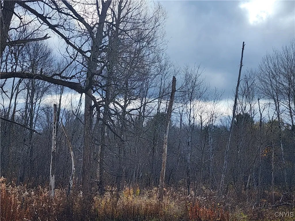 from Rt 294