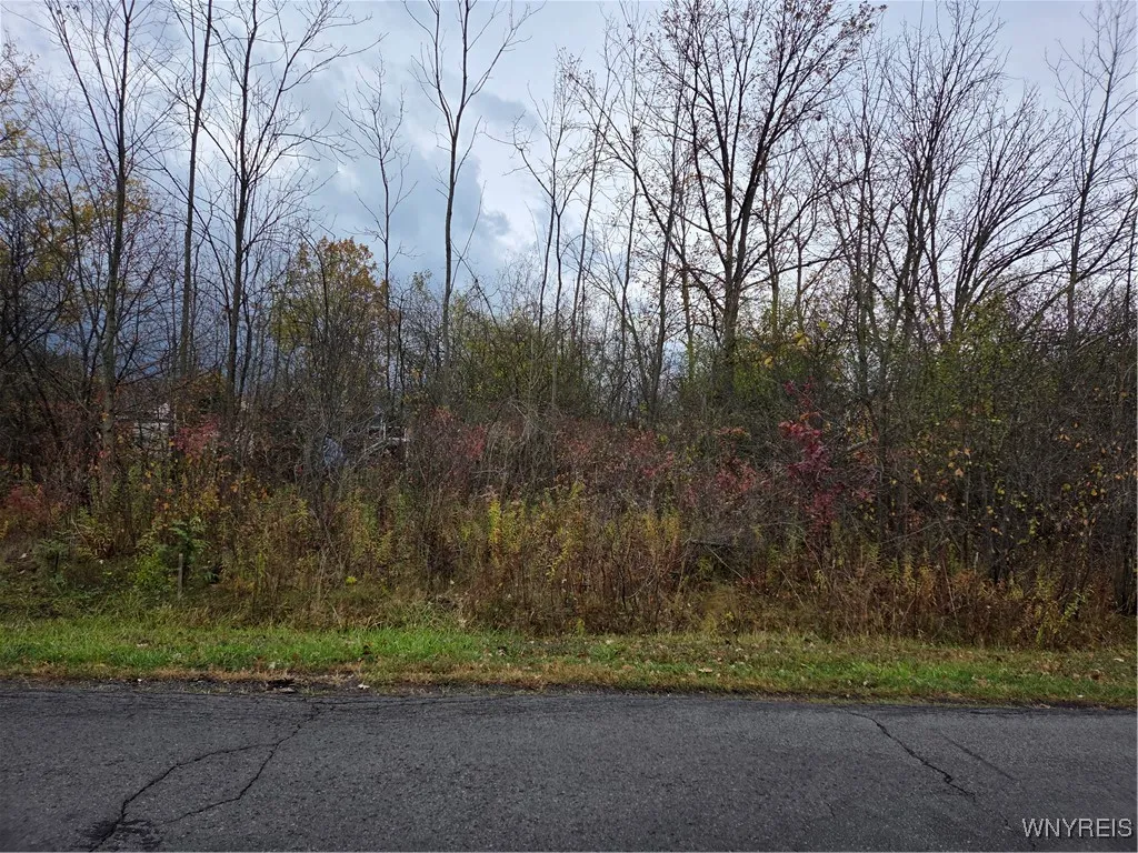 Vl Fourth, Niagara, New York 14305, Niagara, New York 14305, ,Land,For Sale,Vl Fourth, Niagara, New York 14305,0,B1649558