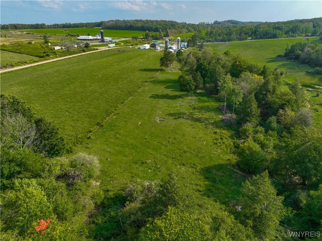 9670 County Road 3, Centerville, New York 14065, Centerville, New York 14065, 5 Bedrooms Bedrooms, 16 Rooms Rooms,1 BathroomBathrooms,Land,For Sale,9670 County Road 3, Centerville, New York 14065,0,B1649550