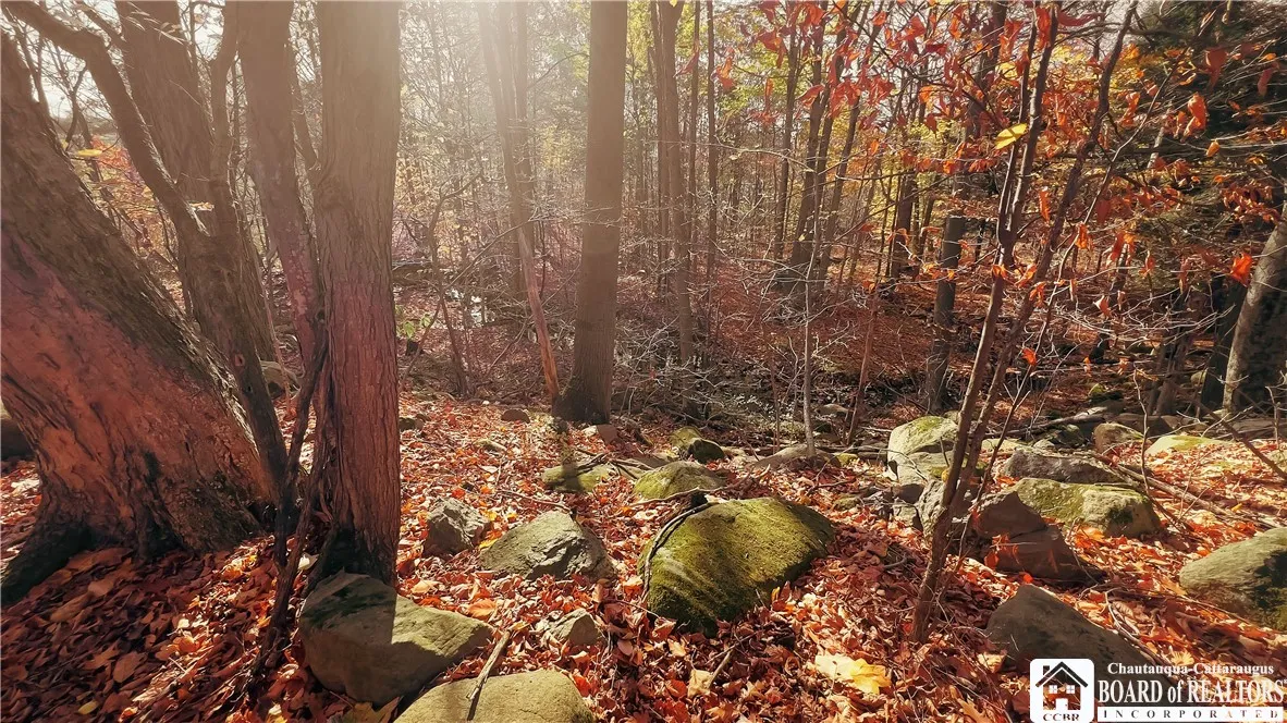 4174 Osborne Road, Pomfret, New York 14063, Pomfret, New York 14063, 2 Bedrooms Bedrooms, 6 Rooms Rooms,2 BathroomsBathrooms,Residential,For Sale,4174 Osborne Road, Pomfret, New York 14063,0,R1647872