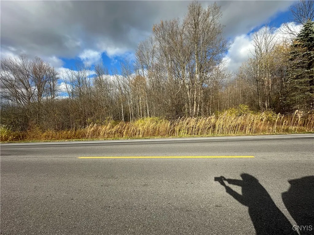 County Route 4, Scriba, New York 13126, Scriba, New York 13126, ,Land,For Sale,County Route 4, Scriba, New York 13126,0,S1649642