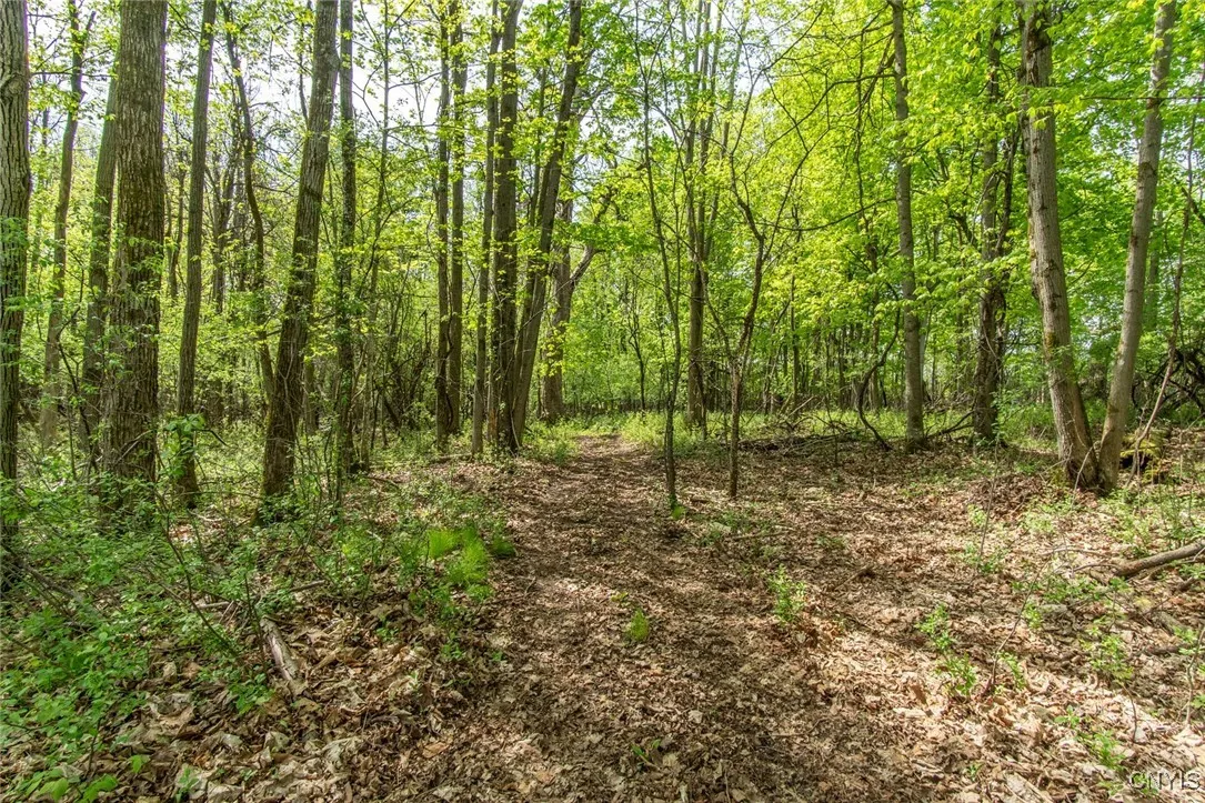 21408 Gillette Road, Watertown Town, New York 1360, Watertown Town, New York 13601, 4 Bedrooms Bedrooms, 11 Rooms Rooms,2 BathroomsBathrooms,Residential,For Sale,21408 Gillette Road, Watertown Town, New York 1360,0,S1649640