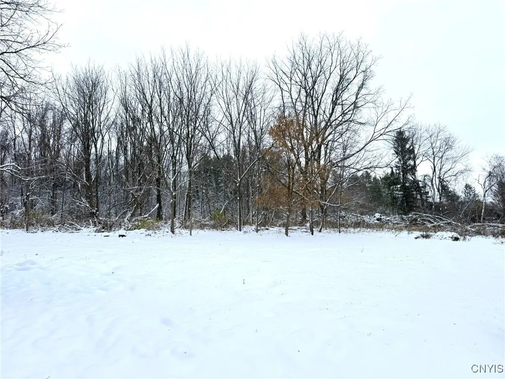 223 Rt-5 Highway, Elbridge, New York 13166, Elbridge, New York 13166, 3 Bedrooms Bedrooms, 6 Rooms Rooms,2 BathroomsBathrooms,Residential,For Sale,223 Rt-5 Highway, Elbridge, New York 13166,0,S1649633