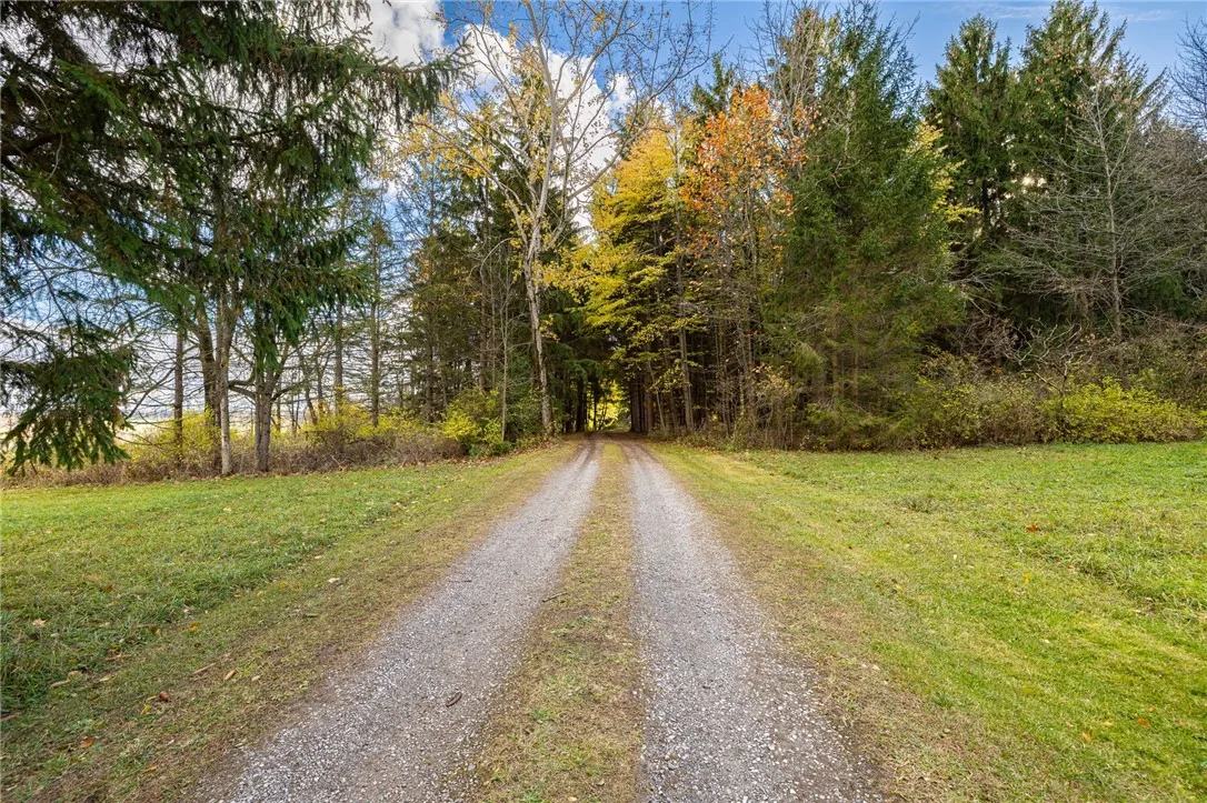 6799 Rice Road, East Bloomfield, New York 14564, East Bloomfield, New York 14564, 4 Bedrooms Bedrooms, 10 Rooms Rooms,2 BathroomsBathrooms,Residential,For Sale,6799 Rice Road, East Bloomfield, New York 14564,0,R1649444