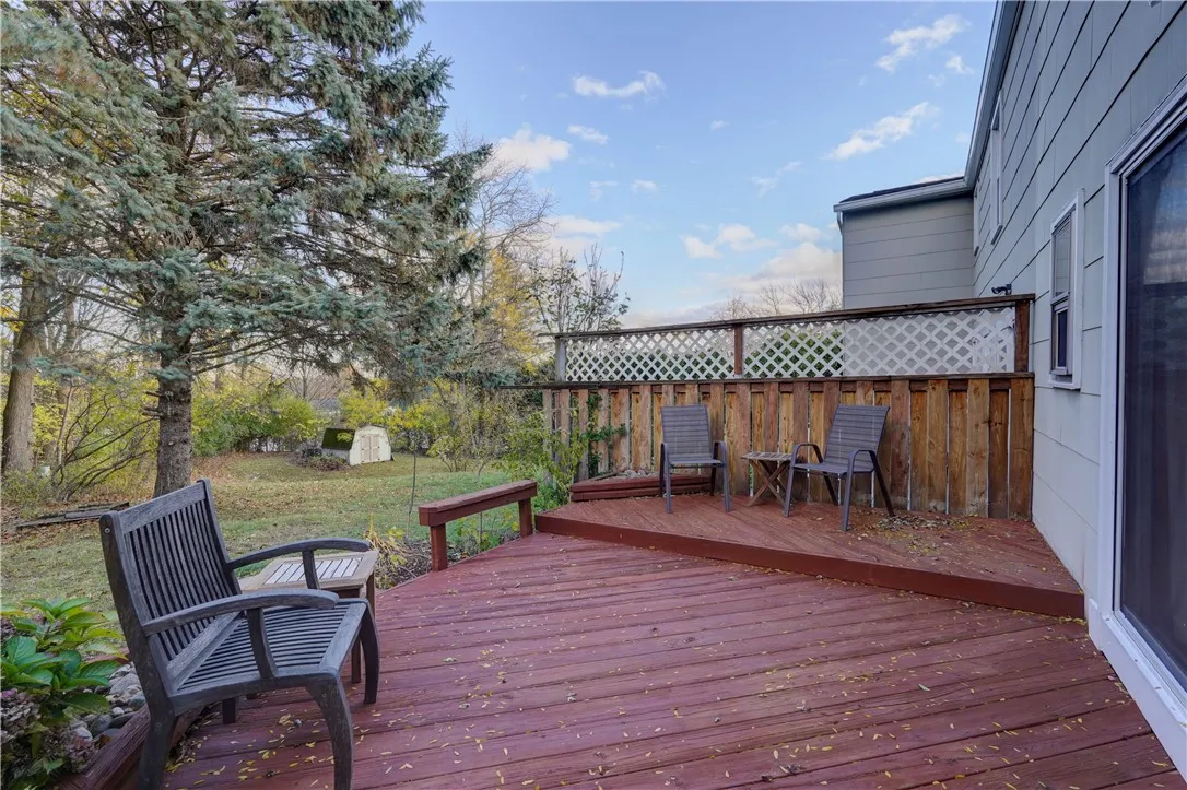 Large deck overlooking treed backyard