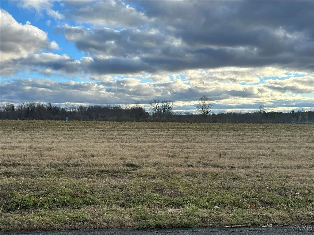 Eureka Road, Westmoreland, New York 13440, Westmoreland, New York 13440, ,Land,For Sale,Eureka Road, Westmoreland, New York 13440,0,S1649704