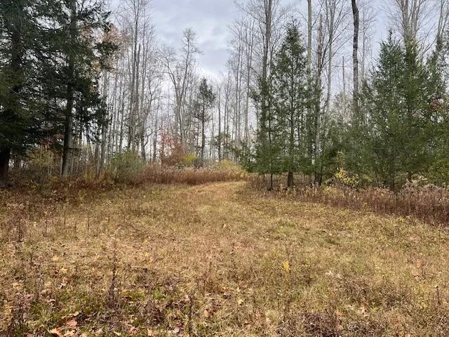 1475 Stewart Road, Tuscarora, New York 14801, Tuscarora, New York 14801, ,Land,For Sale,1475 Stewart Road, Tuscarora, New York 14801,0,R1649711